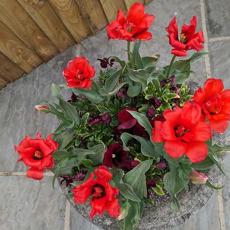 Rosegarth Bed And Breakfast Marton near Pickering エクステリア 写真