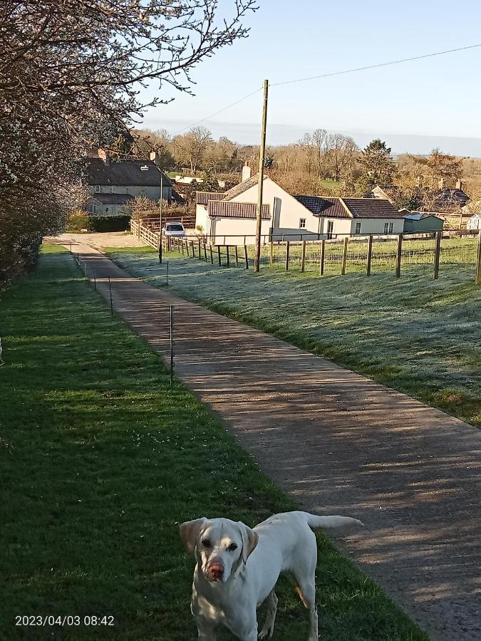 Rosegarth Bed And Breakfast Marton near Pickering エクステリア 写真