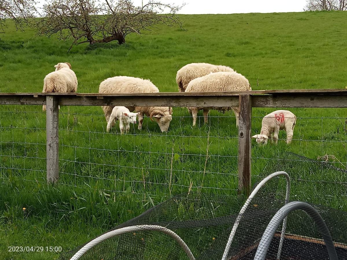 Rosegarth Bed And Breakfast Marton near Pickering エクステリア 写真